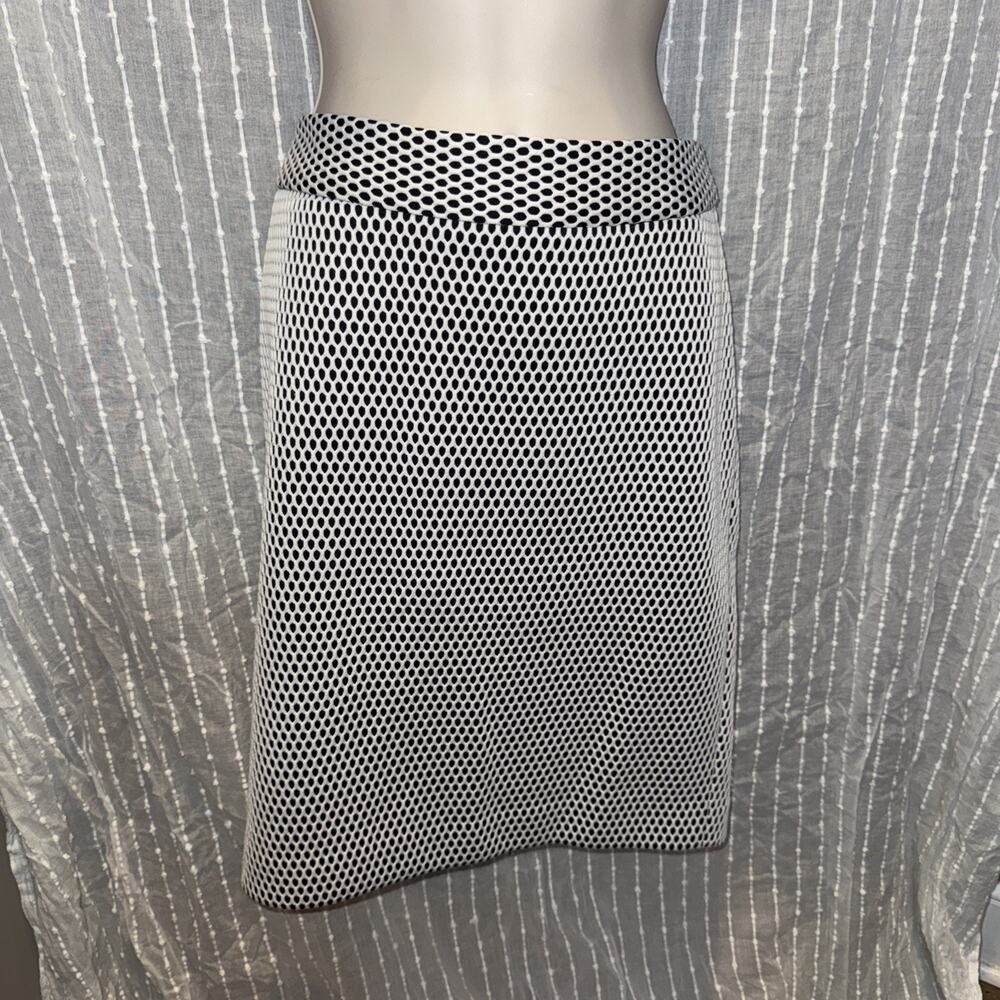 Banana Republic / Mesh Net Back Zip Slit Pencil Straight Mini Skirt / Size 4P